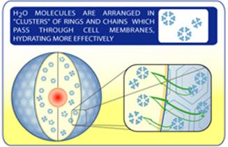 Cluster_X2_Illustration03_NHTGlobal